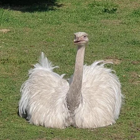 Le Du Clos Des Nandous Holiday home