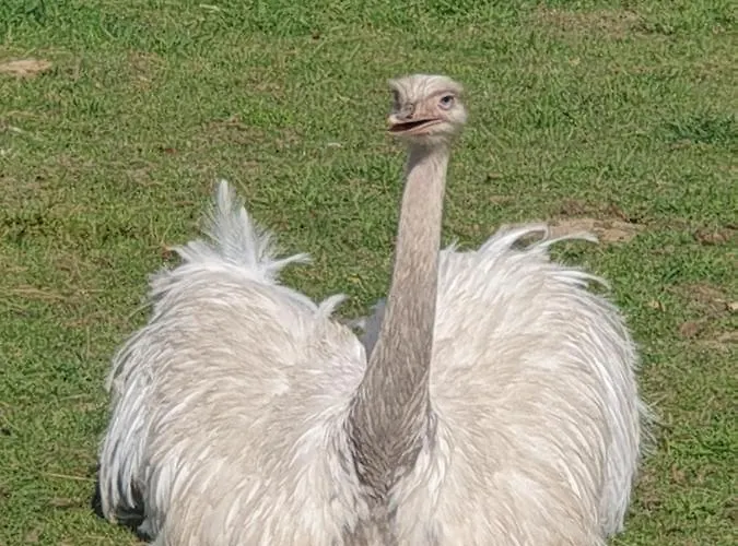 Le Du Clos Des Nandous Σπίτι διακοπών